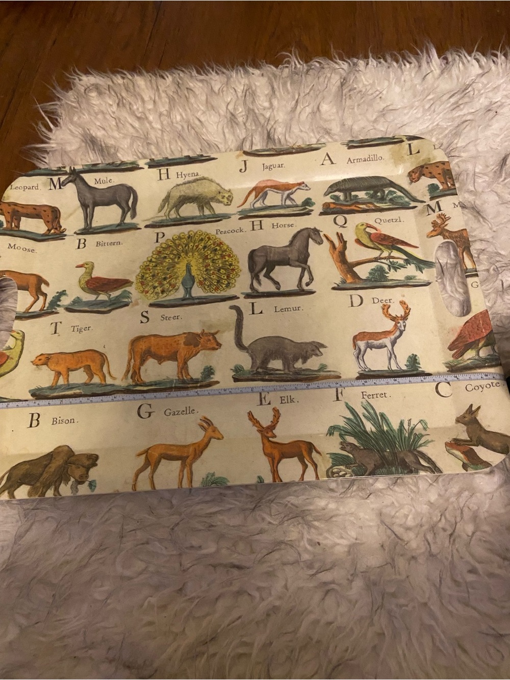 Animal Alphabet Decorative Serving Tray in Cream and Multicolor